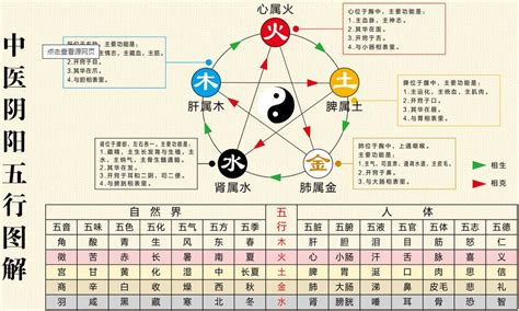 五行代表|五行具有哪些属性和特性？